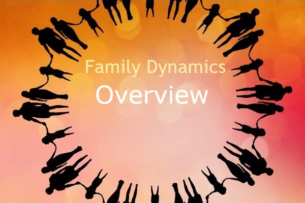 Family Dynamics Overview