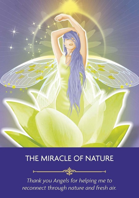 Daily Message The Miracle of Nature